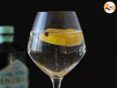 Gin s tonikem, základní aperitivní koktejl! - foto 2