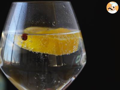 Gin s tonikem, základní aperitivní koktejl! - foto 5