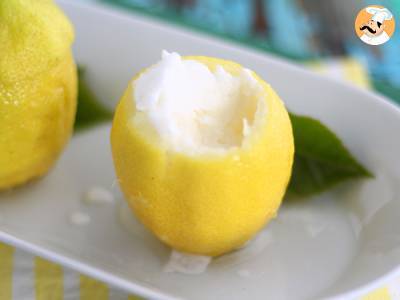 Mrazený citron, osvěžující sorbet - foto 3