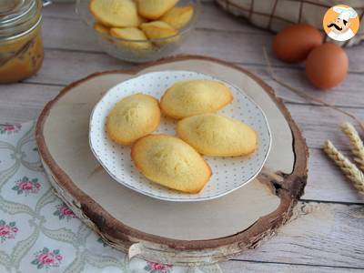 Obyčejné Madeleines