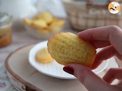 Obyčejné Madeleines - foto 2