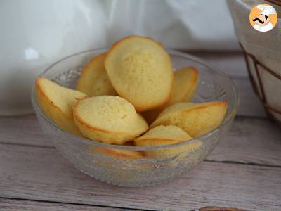 Obyčejné Madeleines - foto 3