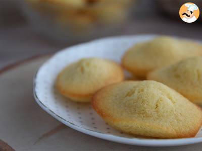 Obyčejné Madeleines - foto 4