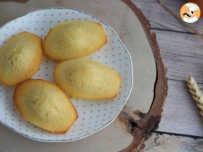 Obyčejné Madeleines - foto 6