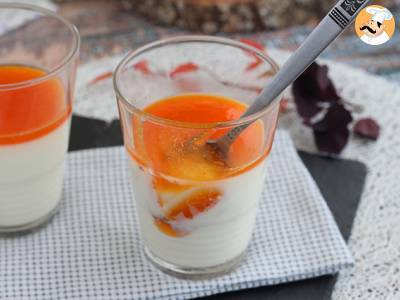 Vanilková panna cotta s meruňkovým coulis - foto 6